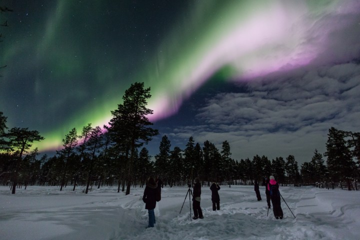 People observing aurora borealis over snowy forest at night.