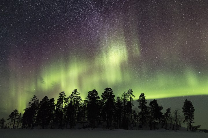 Silhouette of trees under vibrant green and purple aurora borealis with starry sky.