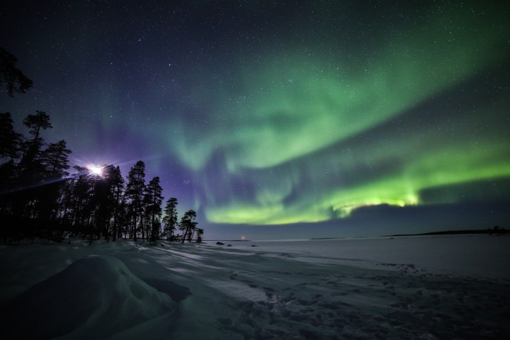 Northern lights over snowy landscape with trees silhouetted against the night sky.