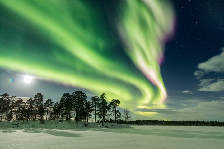 Green aurora borealis over snowy landscape with silhouetted trees and bright moon.