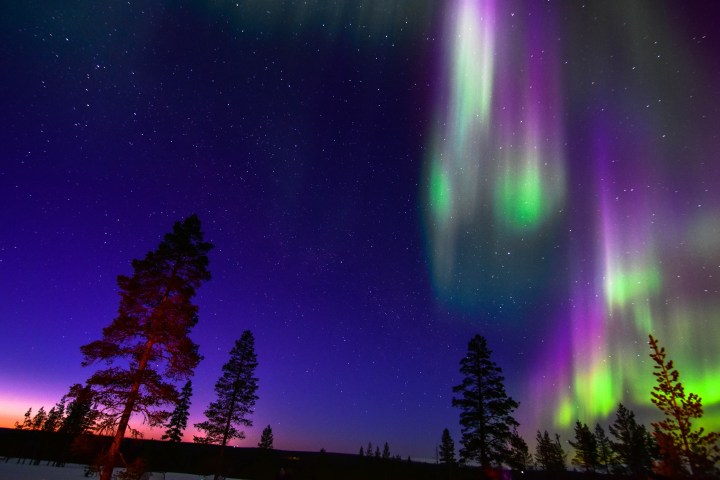 Colorful aurora borealis over a forest with silhouetted trees against a starry night sky.