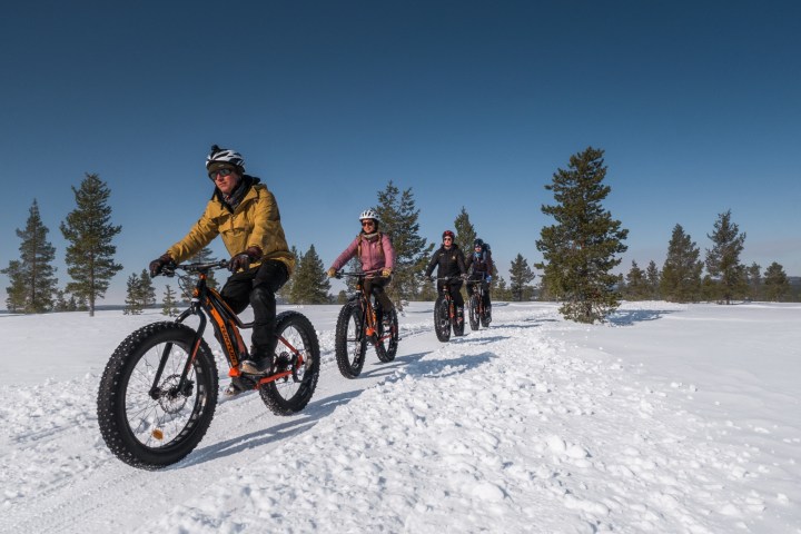 Four cyclists ride fat bikes on a snowy trail with trees and clear blue sky.