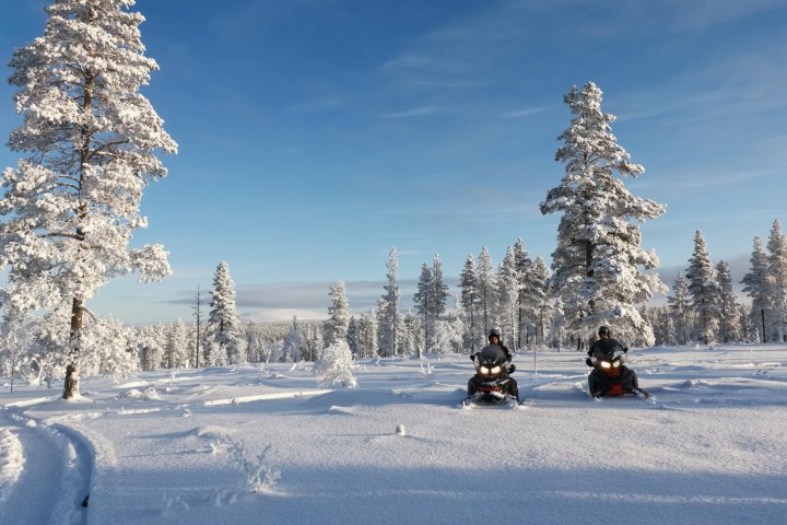 Two snowmobiles on snowy landscape with snow-covered trees and clear blue sky.