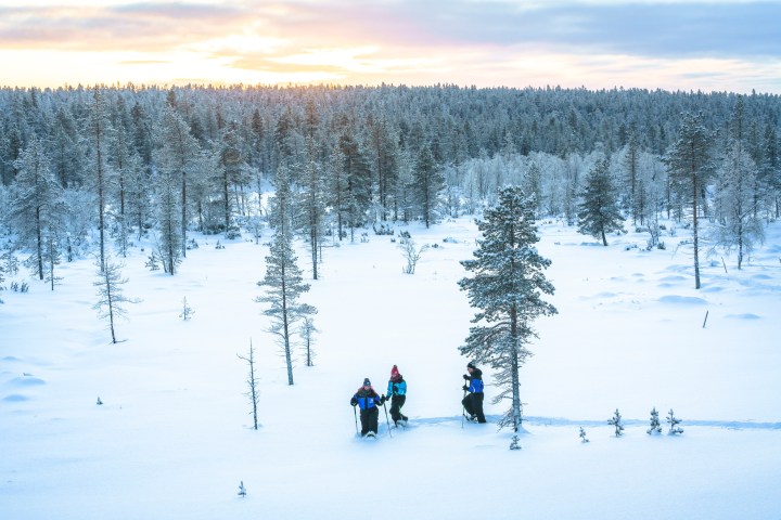 Group of people snowshoeing through a snowy forest at sunset in winter.