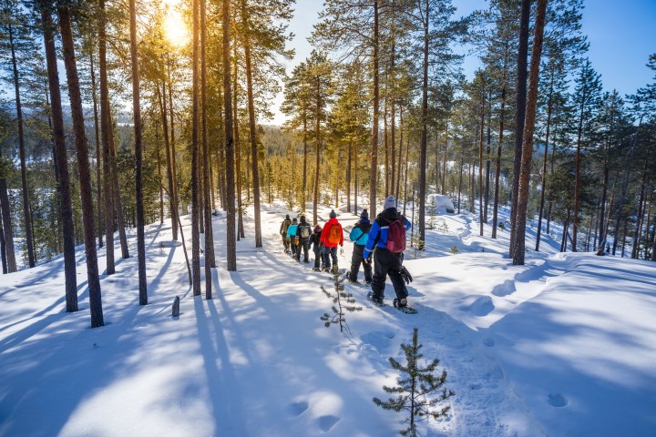 Group hiking through snow-covered forest with sunlight streaming between tall trees.