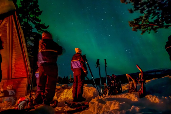 People in winter gear observing aurora borealis in a snowy landscape at night.