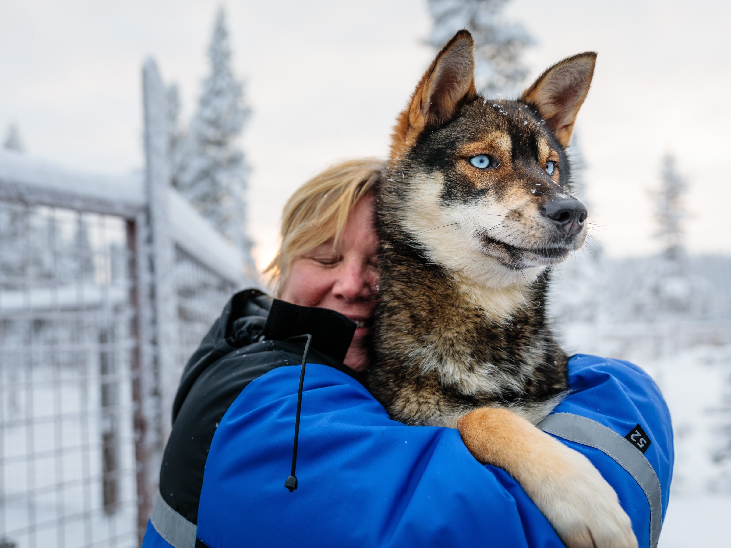 Person in blue jacket hugging a blue-eyed dog in a snowy landscape.