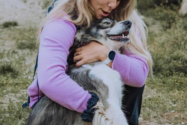 Woman in purple sweater hugging a happy, fluffy dog outdoors.