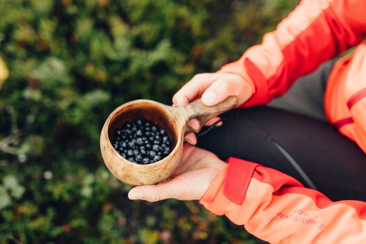 Person in orange jacket holding a wooden cup of blueberries outdoors.