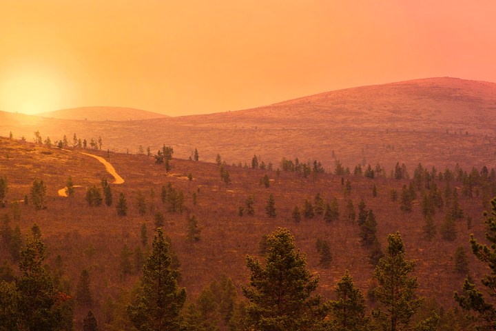 Sunset over hilly landscape with sparse trees and an orange sky.