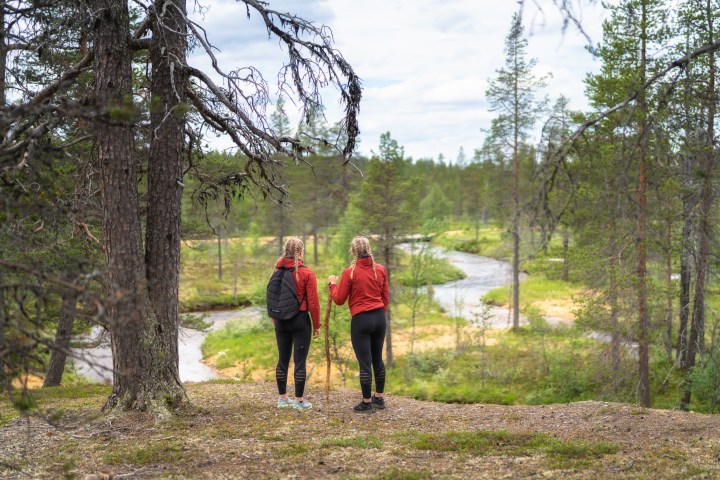 Two hikers in red jackets stand by a forest stream, surrounded by trees.